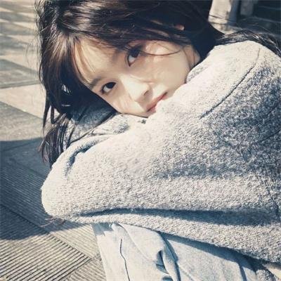 玉米上的麻雀